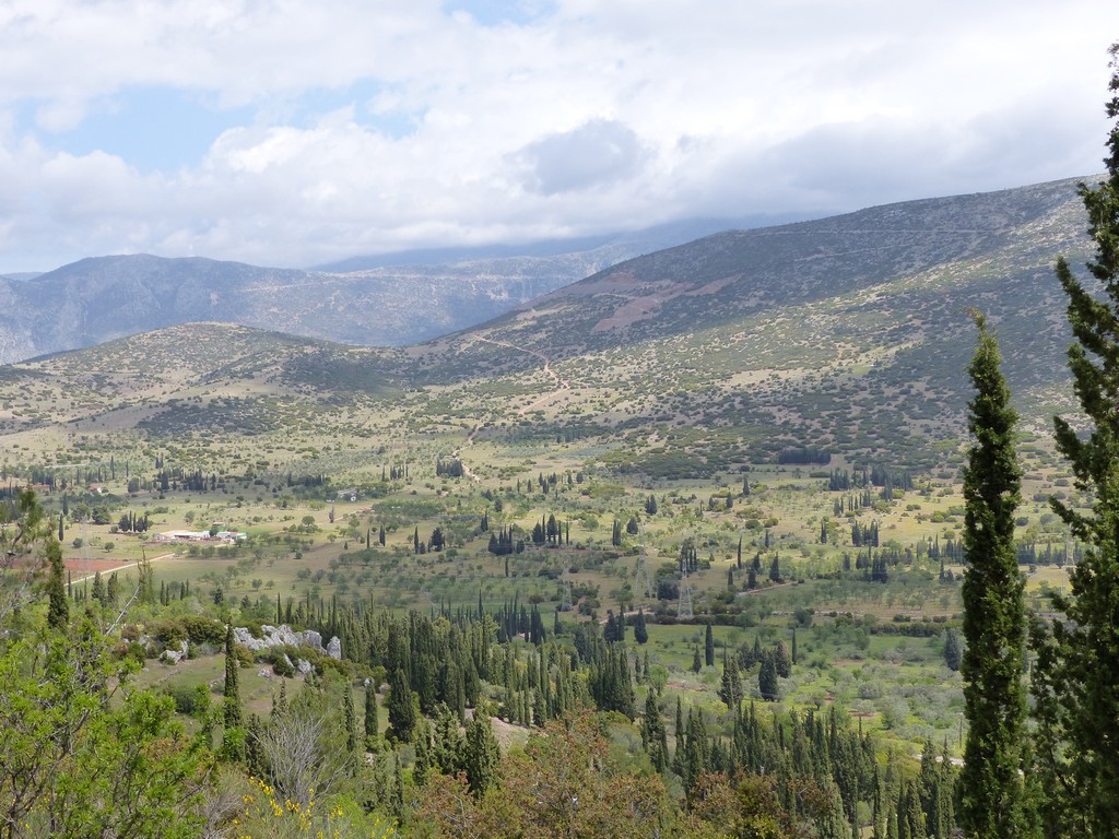 Grecia 23_25 aprile 2016  un fine settimana tra le orchidee.